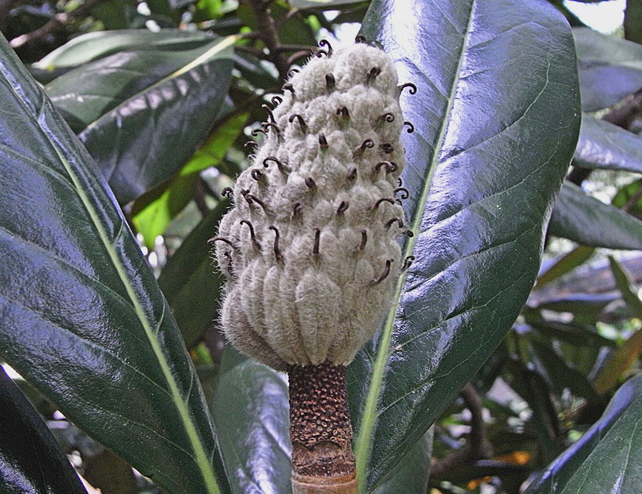 c0190915_20223274.jpg