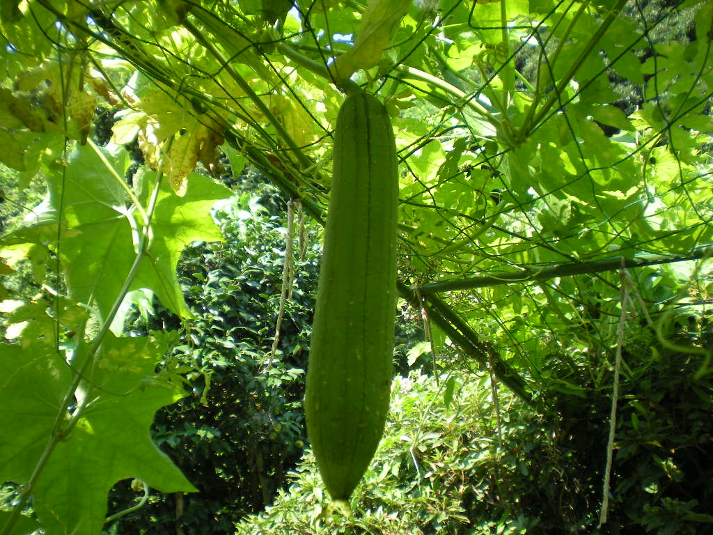 a0125419_202461.jpg