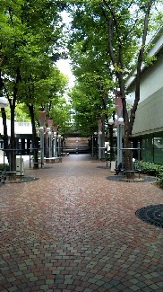 e0110119_18514334.jpg