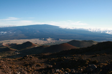 d0133320_23421989.jpg