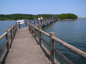 c0177822_15233419.jpg