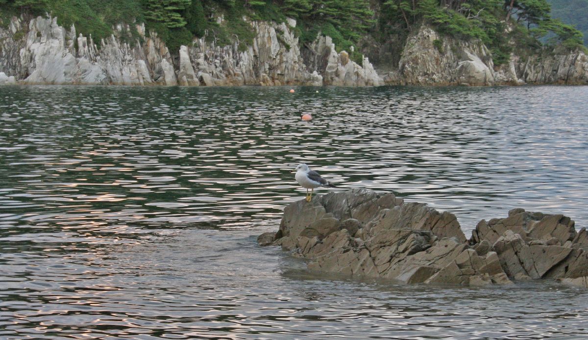 c0104227_681729.jpg
