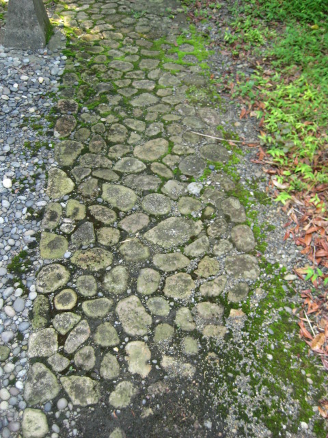 d0147727_1946470.jpg