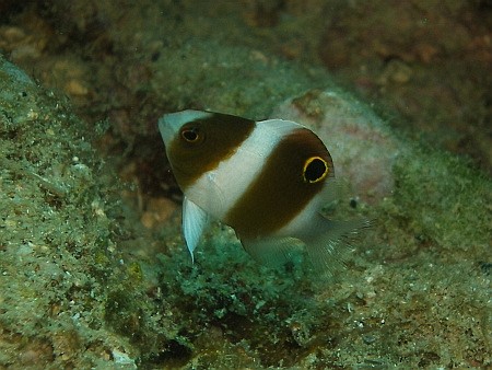09.8.27 今日もマンツーでのんびり_b0100730_2141838.jpg