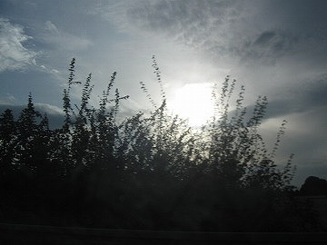 f0065630_22352813.jpg