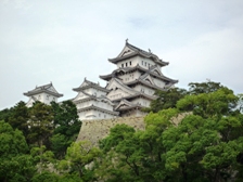 f0154533_8281398.jpg