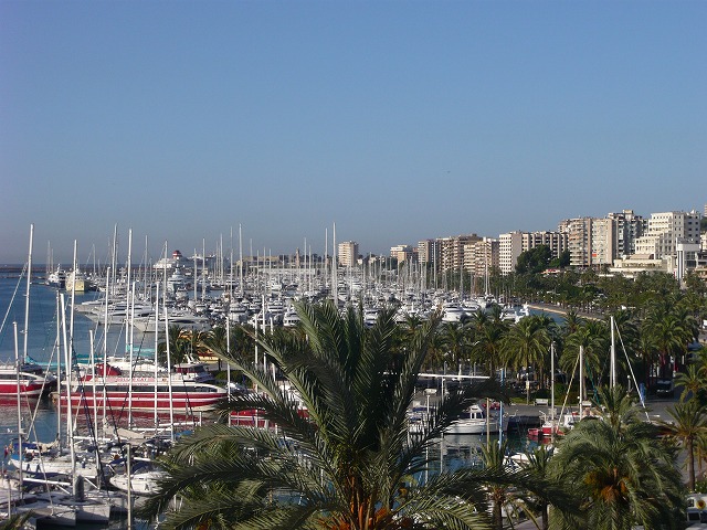 e0145739_52555.jpg