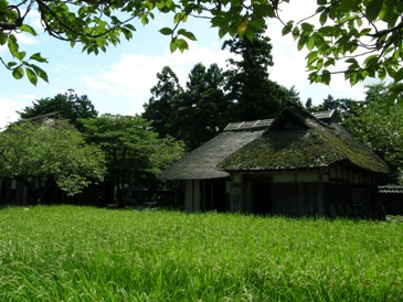 d0122640_17305157.jpg