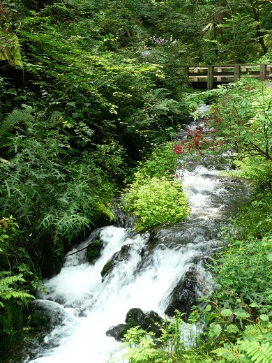 c0057946_2033337.jpg