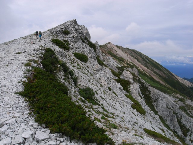 憧れの北アルプスin白馬岳　～後編～_e0151447_2255948.jpg