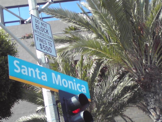 c0157348_3195028.jpg