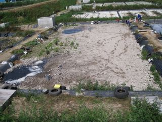d0081650_2058577.jpg