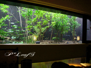 c0176651_015520.gif