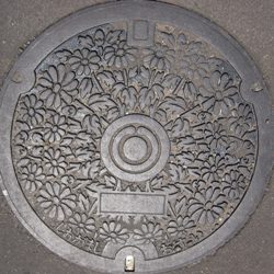 d0049152_1541448.jpg