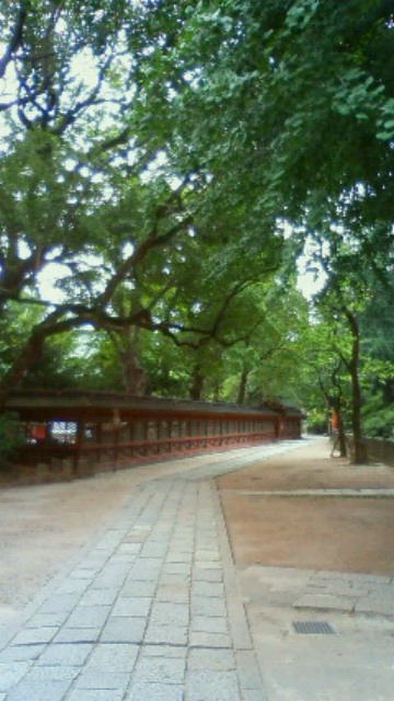 f0208355_82093.jpg
