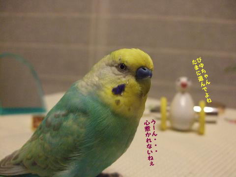 f0149057_2354278.jpg
