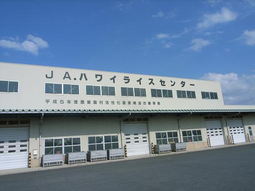 今日は「ハワイ」へ!_f0201157_16182870.jpg