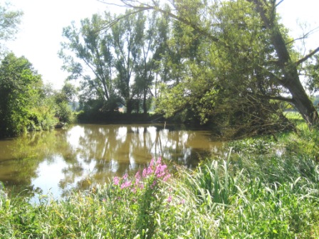 f0116158_4222928.jpg
