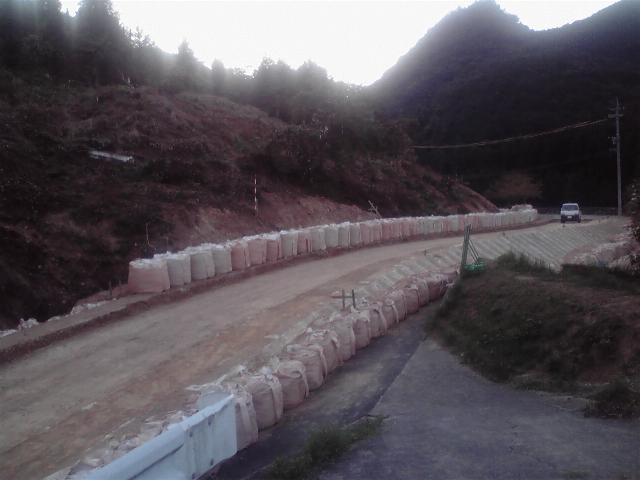 f0160860_924639.jpg