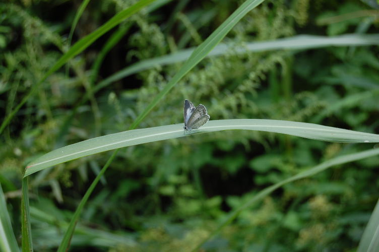 b0167762_22412387.jpg