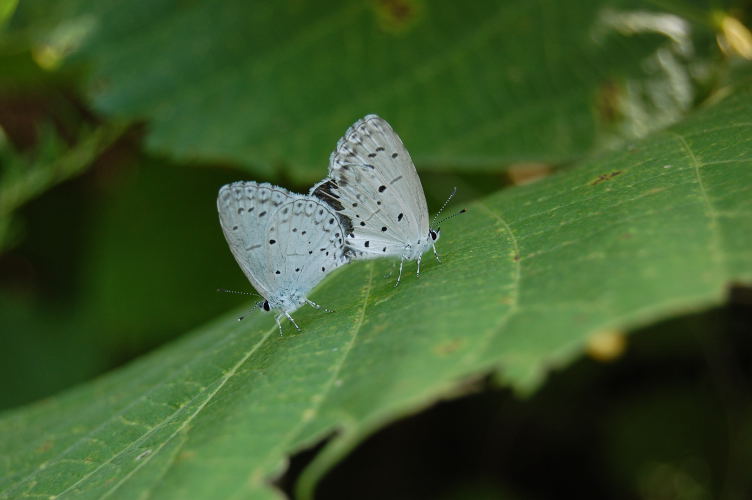 b0167762_22541813.jpg