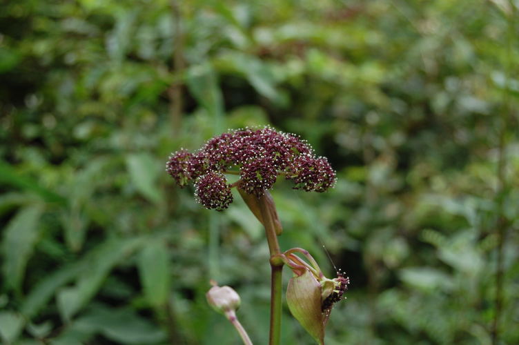 b0167762_23105946.jpg