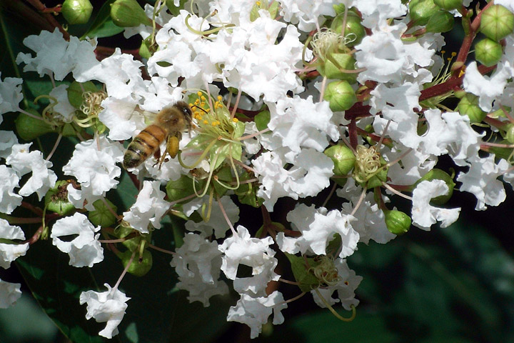 b0006870_1258449.jpg
