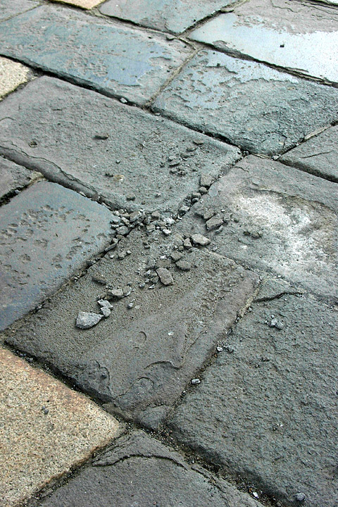b0006870_135637.jpg