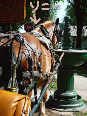 f0186671_12521032.gif