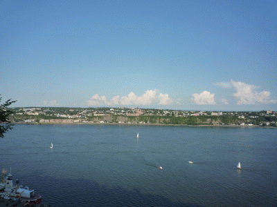 f0186671_1321852.gif