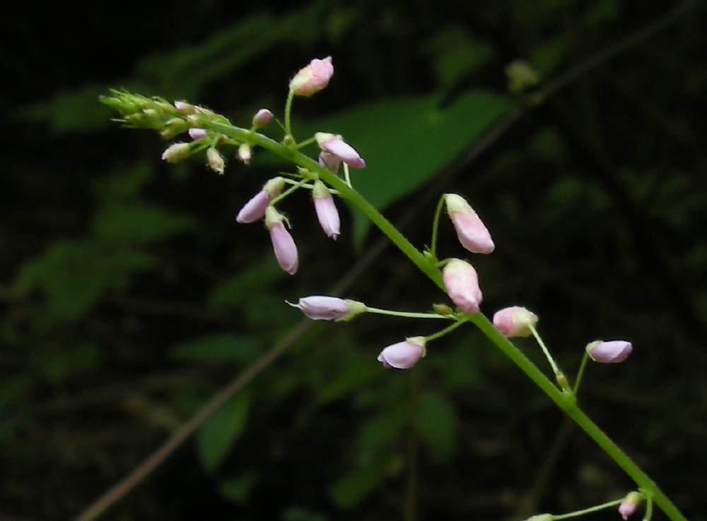 b0056282_228143.jpg