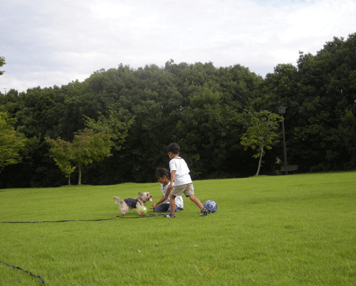 e0066883_20264631.gif