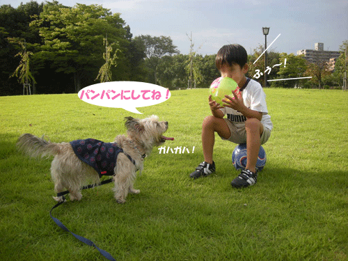 e0066883_20272373.gif