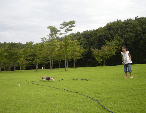 e0066883_2027564.gif