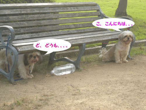 e0066883_20301479.gif