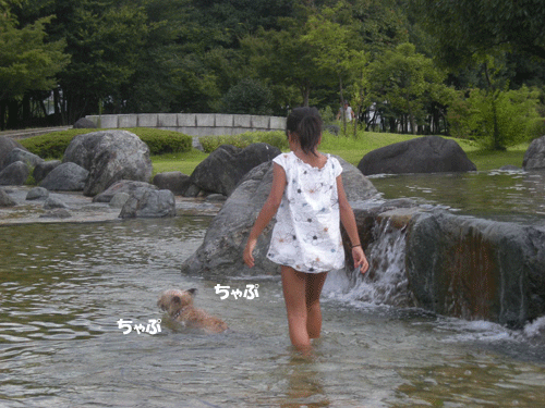 e0066883_20345474.gif