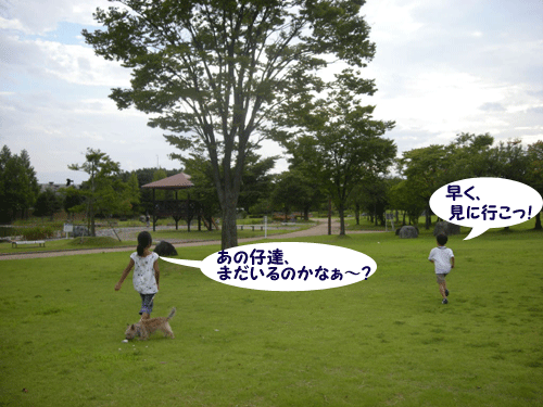 e0066883_20382957.gif