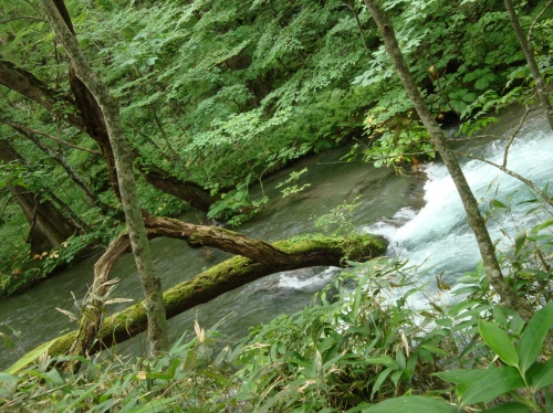 c0119891_21413715.jpg