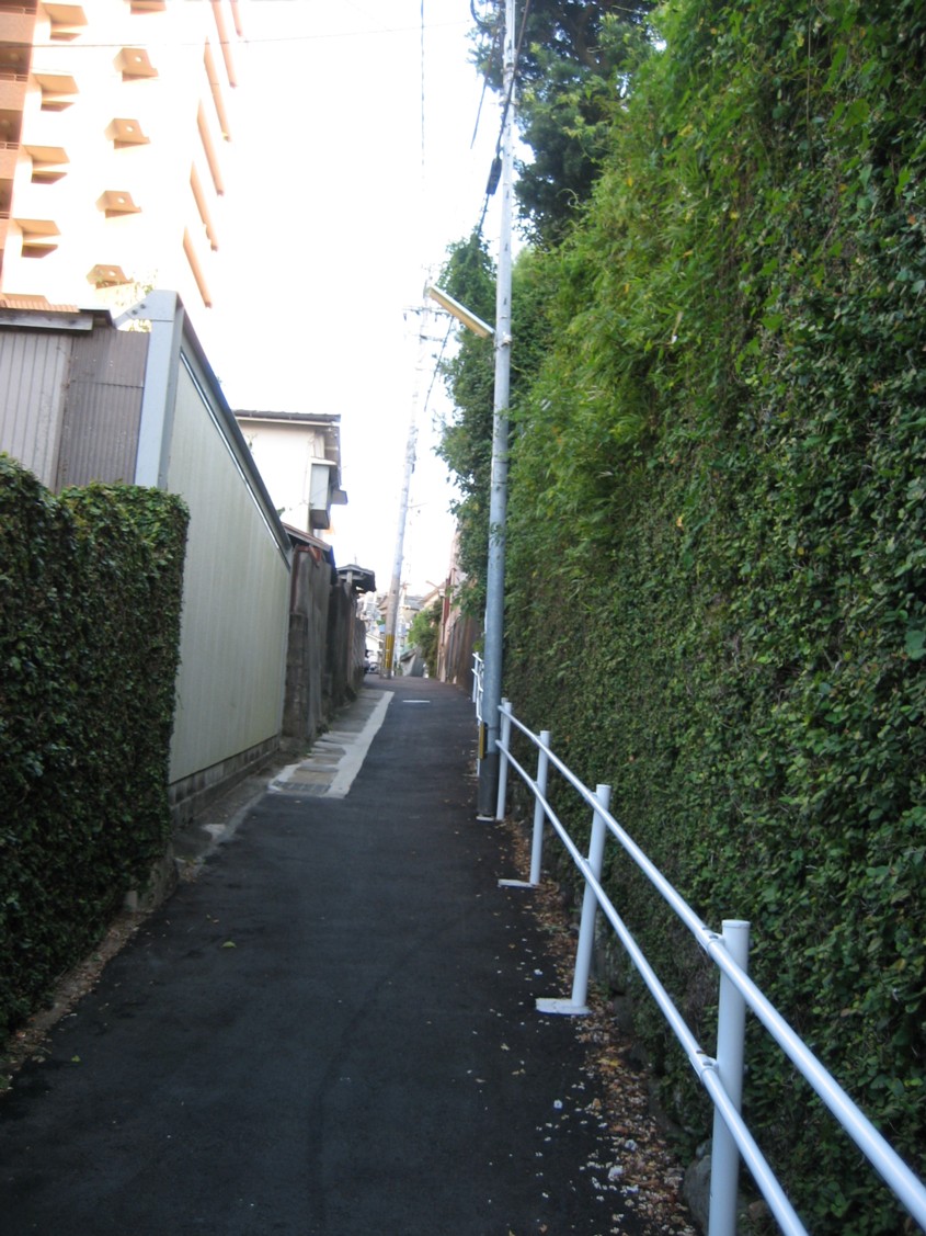 e0127995_13799.jpg