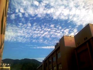 e0188897_0125897.jpg