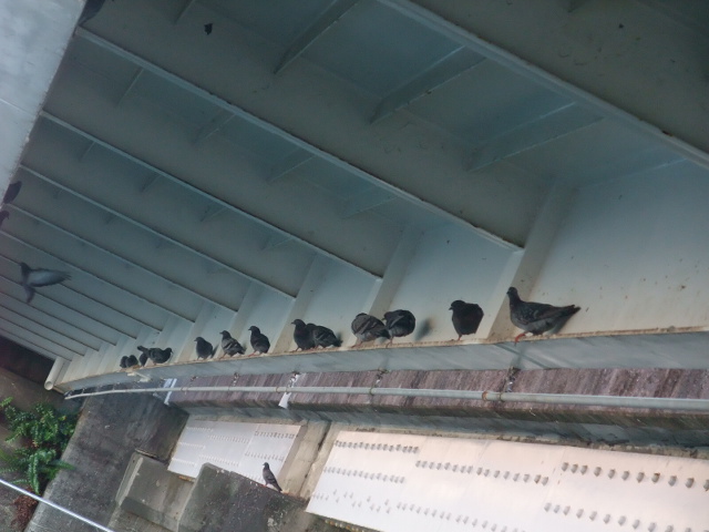 c0183801_106165.jpg