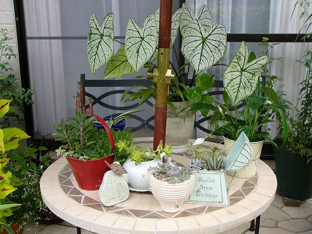 a0123003_17321124.jpg