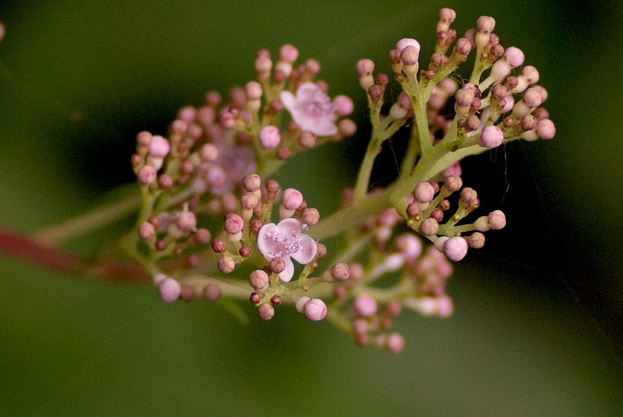 b0174905_6353078.jpg