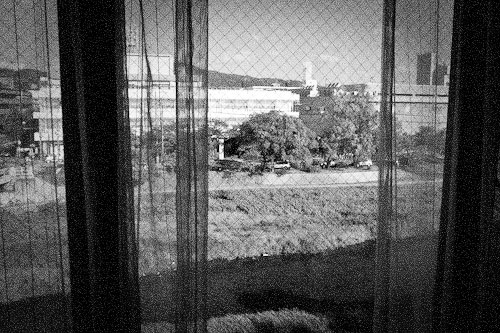 c0034905_2339924.jpg