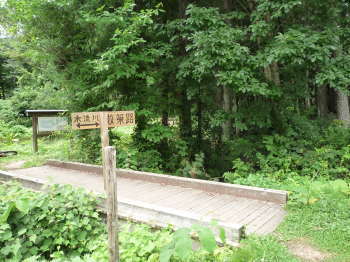 e0070606_10536.jpg