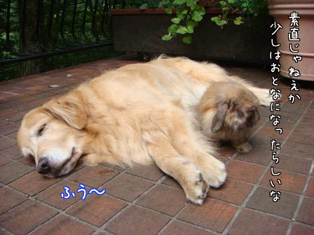 f0064906_1725135.jpg