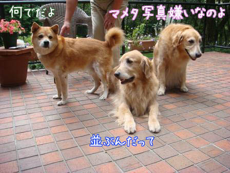 f0064906_17253687.jpg