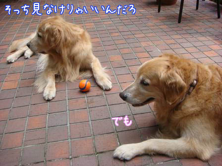 f0064906_1742389.jpg