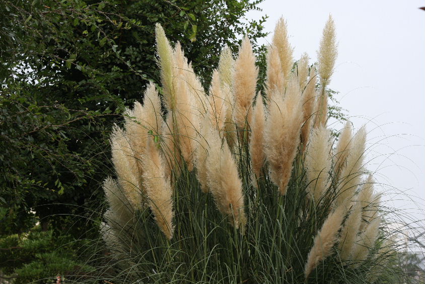 e0130008_20111271.jpg