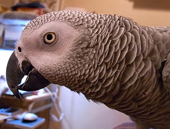 c0133013_16315911.jpg